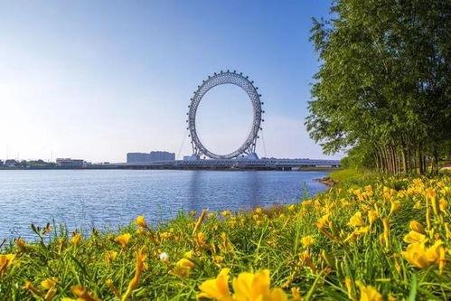 潍坊摩天轮渤海之眼吃瓜视频 明星资讯娱乐新闻,娱乐新闻聚焦网红现象